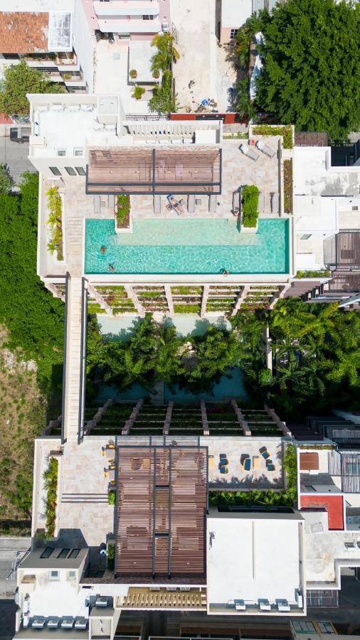 Maravilloso Estudio En Playa Rooftop-Pool-Bbq & Gym By Yeah بلايا ديل كارمن المظهر الخارجي الصورة